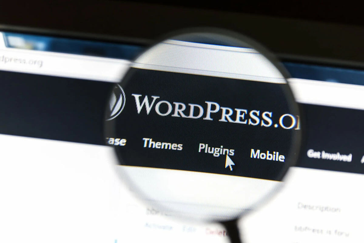 bezpieczeństwo wordpress
