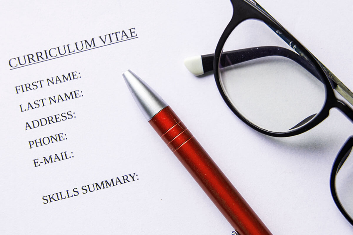 cv programisty