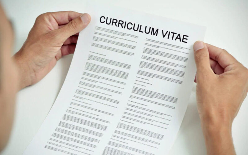 cv programisty