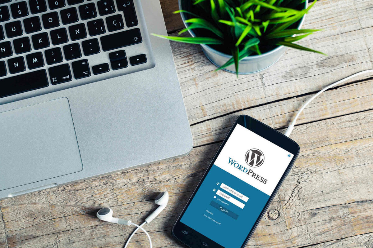 wordpress developer
