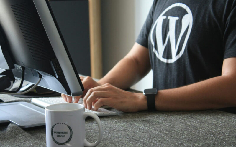 wordpress developer